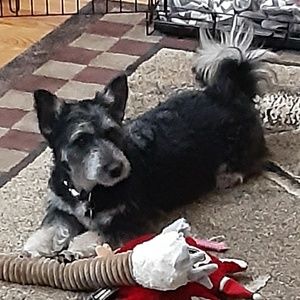 Meet your Posher, Margaret